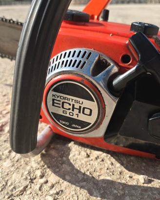 Echo Cs 601