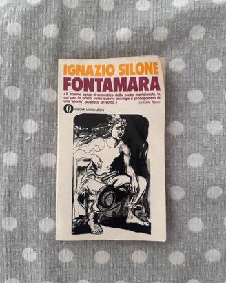 Fontamara 1981