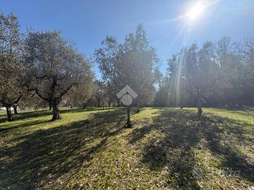 TER. AGRICOLO A NARNI