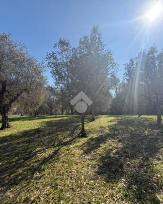 TER. AGRICOLO A NARNI