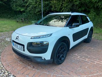 PER NEOPATENTATI, C4 CACTUS