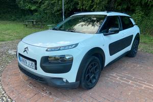 PER NEOPATENTATI, C4 CACTUS
