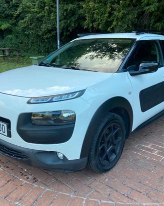 PER NEOPATENTATI, C4 CACTUS