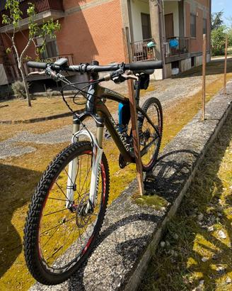 bici specialized