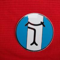 Wheel center cap de tomaso cerchi campagnolo