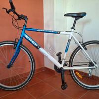 bicicletta MTB