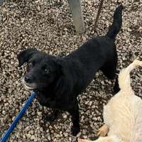 Monica 3 anni Taglia piccola