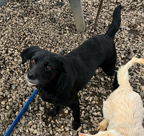 Monica 3 anni Taglia piccola