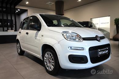 FIAT PANDA 1.2 69 CV EASY