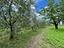 Immagine 27