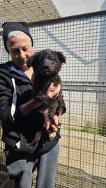 Perla: 3 mesi taglia contenuta