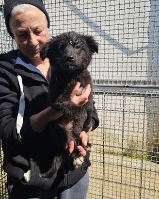 Perla: 3 mesi taglia contenuta