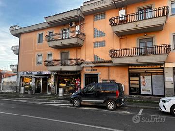 ATTIVITÀ A GENZANO DI ROMA