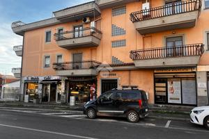 ATTIVITÀ A GENZANO DI ROMA