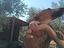 Immagine 5