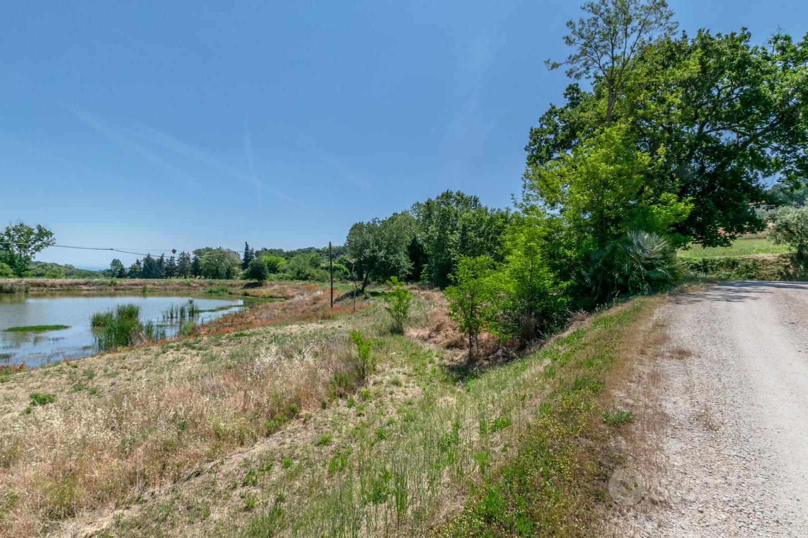 Terreno agricolo a Civitanova Marche 1 locali - Vista 4