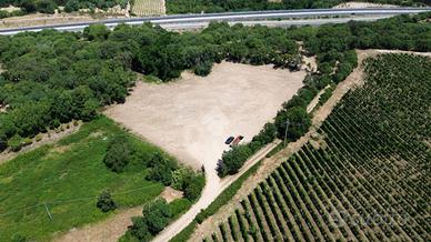 TER. AGRICOLO A MONTI