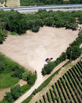 TER. AGRICOLO A MONTI