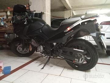 Suzuki v strom