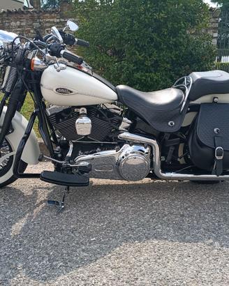 HARLEY DAVIDSON