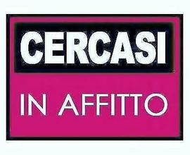 Cercasi casa in affitto