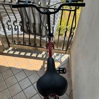 bicicletta pieghevole 