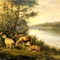 Quadro a olio su tela 