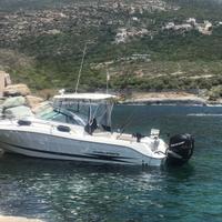 Hydra-Sports 2900 Vector anno 2007