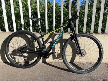 Mountainbike specialized