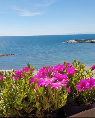 Appartamento fronte mare