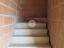 Immagine 7