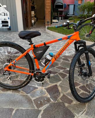 MontainBike Legano 29”
