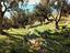 Immagine 17