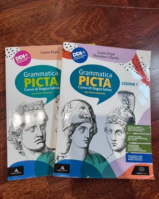 grammatica picta