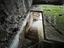 Immagine 28