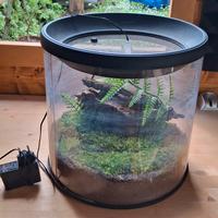 teca in plexiglass per insetti e altri invertebrat