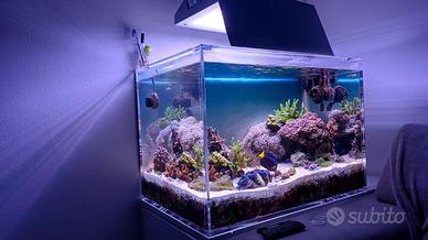 Lampada led acquario Philips coralcare gen 1