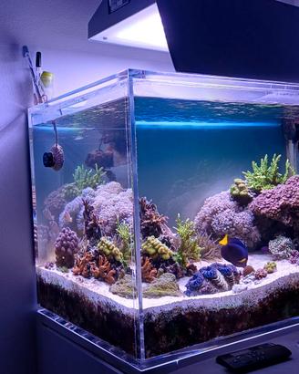 Lampada led acquario Philips coralcare gen 1