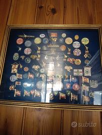 collezione molto ricca lega nord