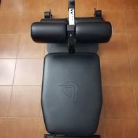 Sissy Squat Nordic Curl Lacertosus