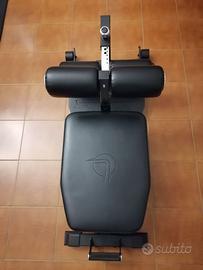 Sissy Squat Nordic Curl Lacertosus