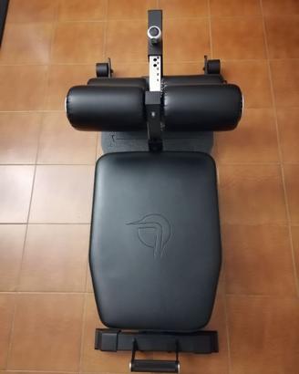 Sissy Squat Nordic Curl Lacertosus