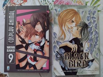 Manga numeri singoli