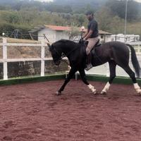 Gomma x Campi Tondino di Equitazione