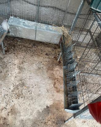 gabbia completa di mangiatoia e abbeveratoio 