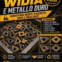 Ritiro Vidiam