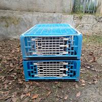 Gabbie trasporto animali