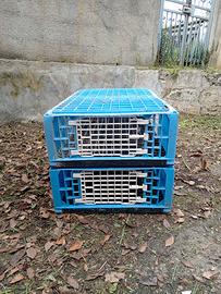 Gabbie trasporto animali