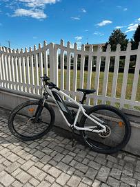 Bici elettrica
