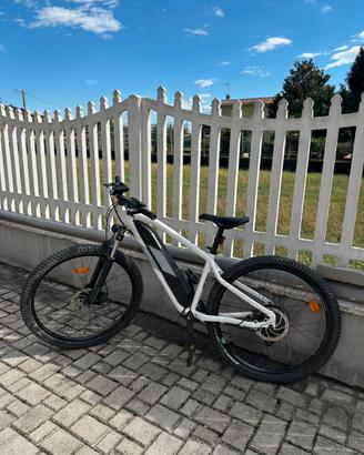 Bici elettrica